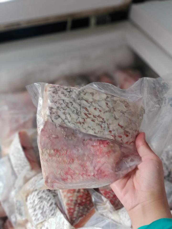 Fillet Ikan Kakap Merah Beku