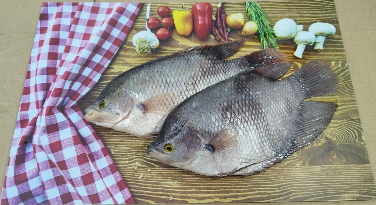 IKAN GURAME BEKU WGGS