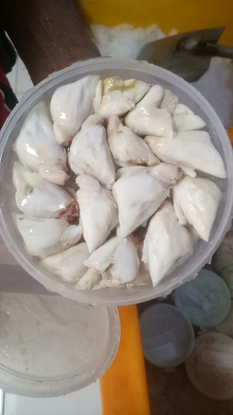 Daging jumbo rajungan