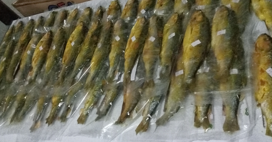 Bandeng  presto lezat rasanya mantap gizine