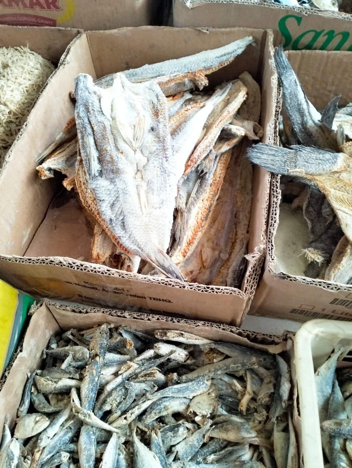 Ikan asin rucah