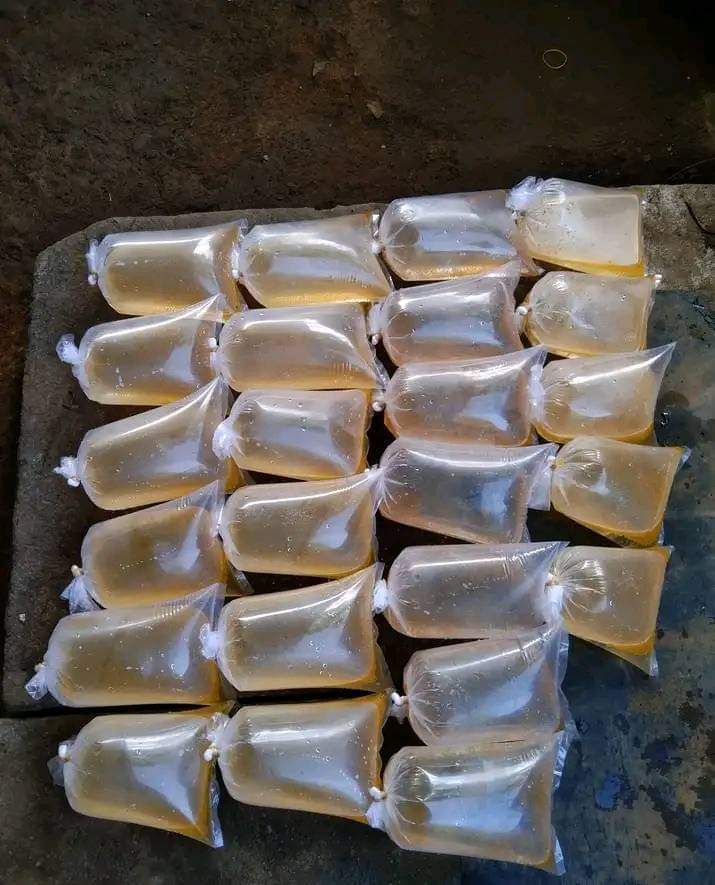 Ready Stock Telur Gurami